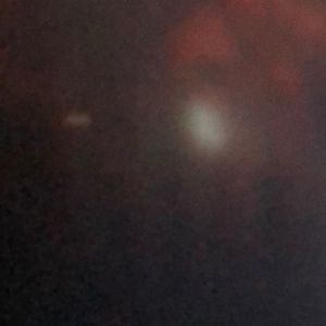 Meet your Posher, Diego